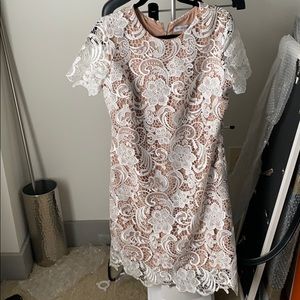 Dress the Population Lace Overlay Dress